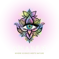 Awaken